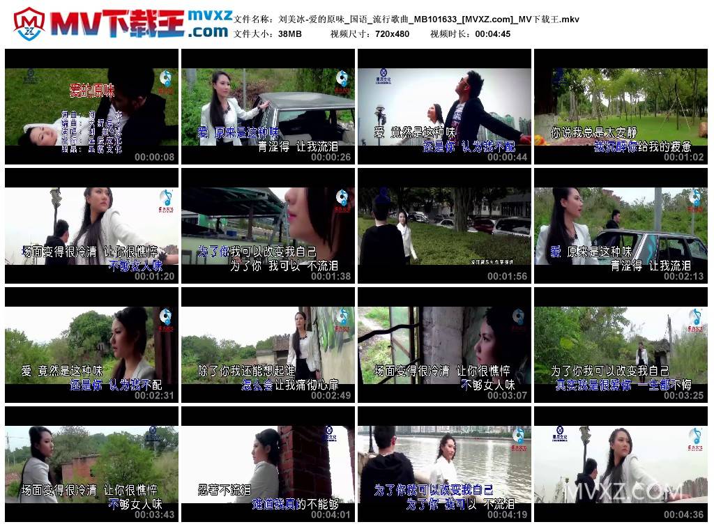 刘美冰-爱的原味_国语_流行歌曲_MB101633